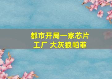 都市开局一家芯片工厂 大灰狼帕菲